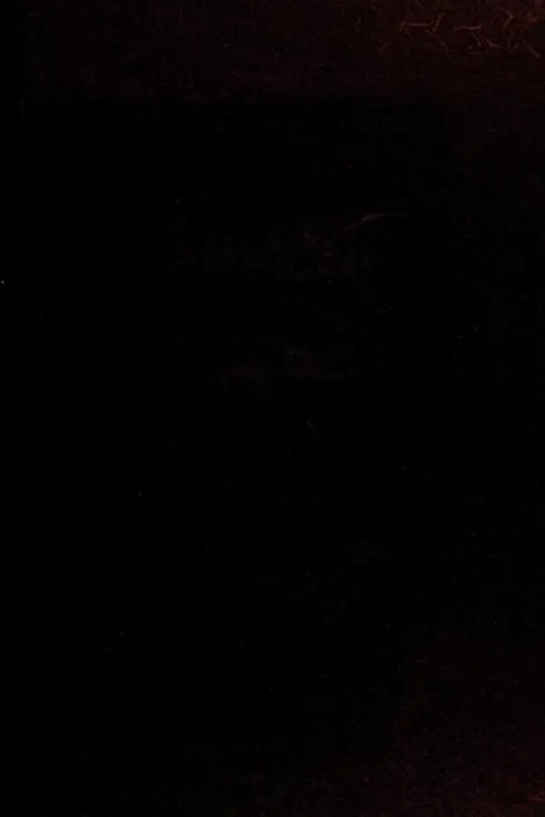 Capa de The American Notebooks by Nathaniel Hawthorne