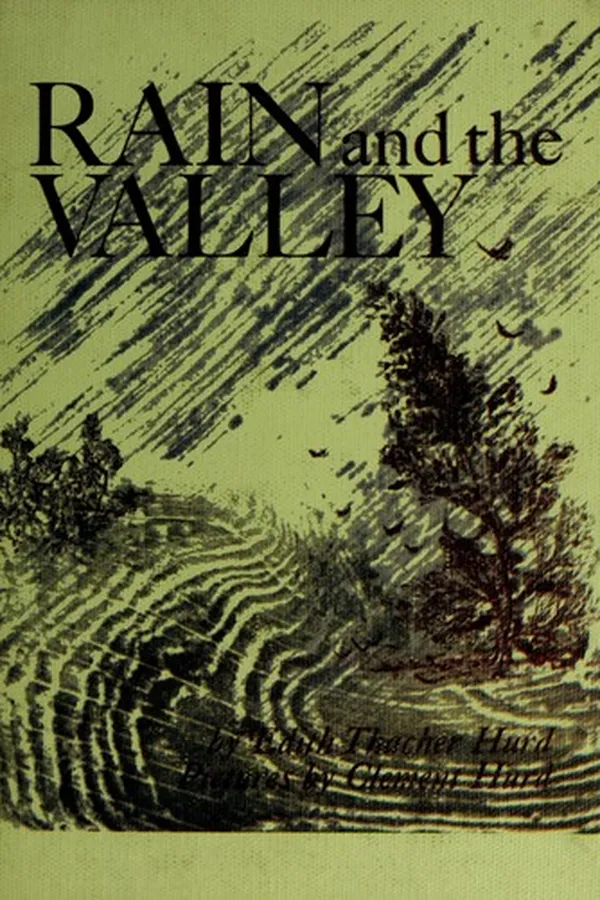Capa de Rain and the valley