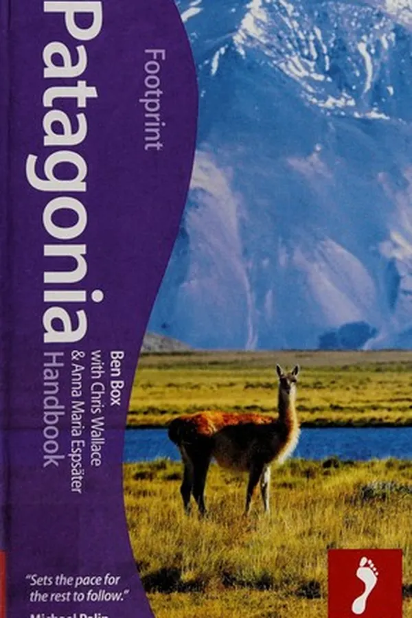 Capa de Patagonia