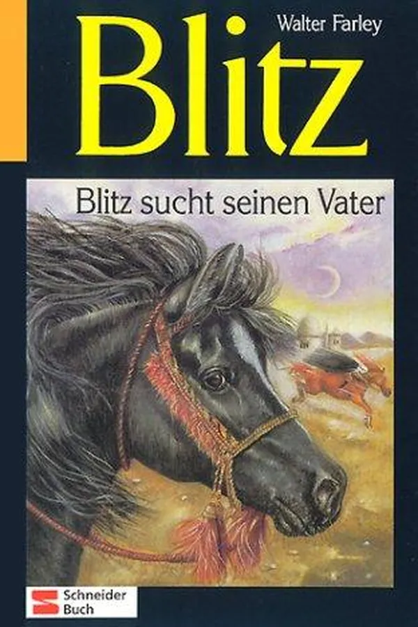 Capa de The black stallion's Mystery