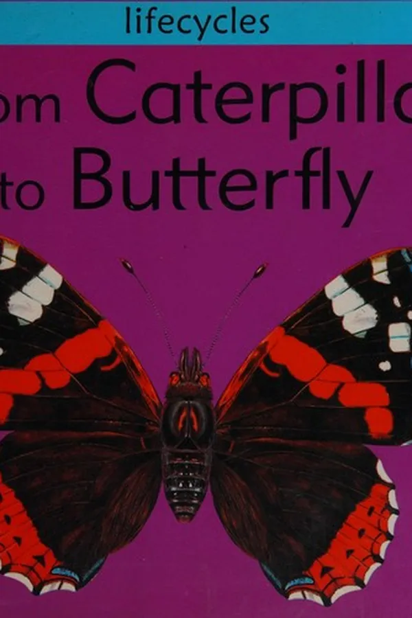Capa de From Caterpillar to Butterfly (Lifecycles)