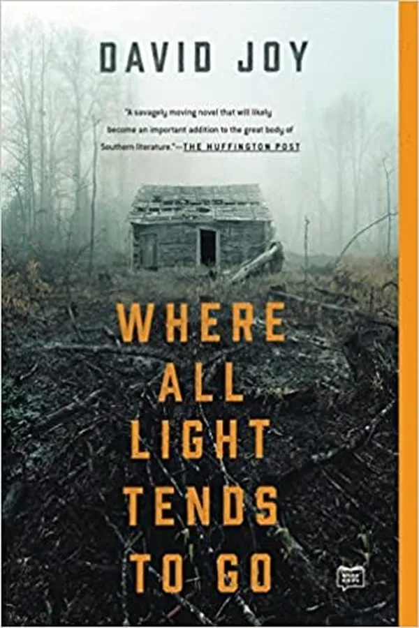 Capa de Where all light tends to go