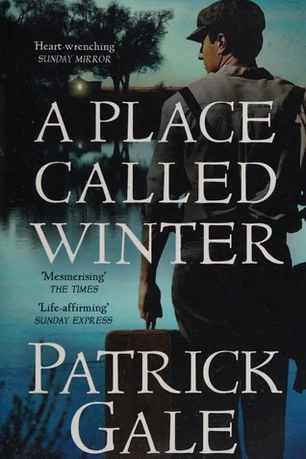 Capa de A place called Winter