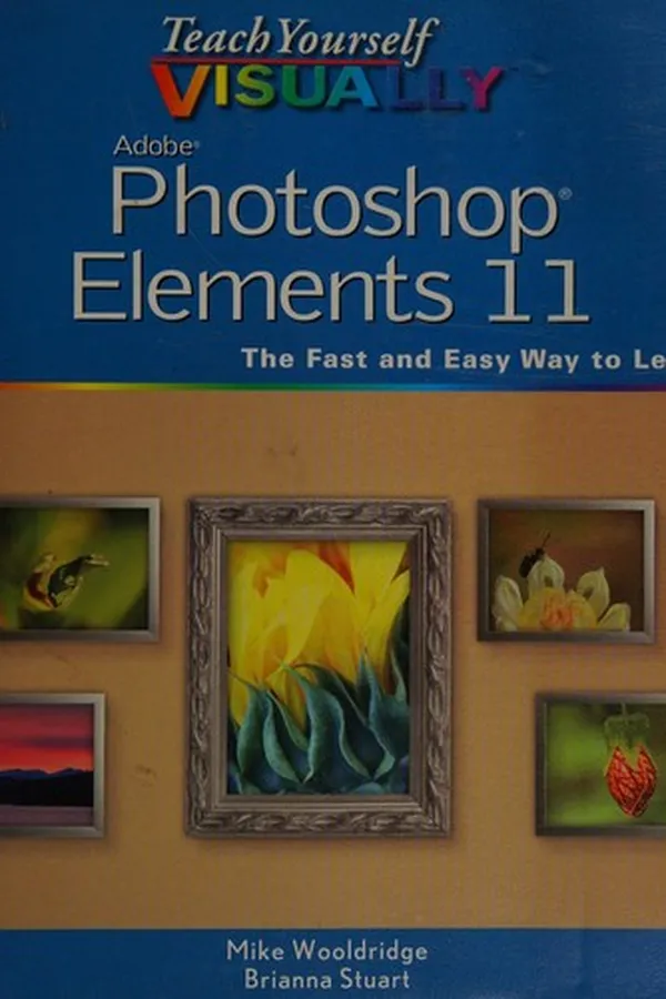 Capa de Photoshop elements 11