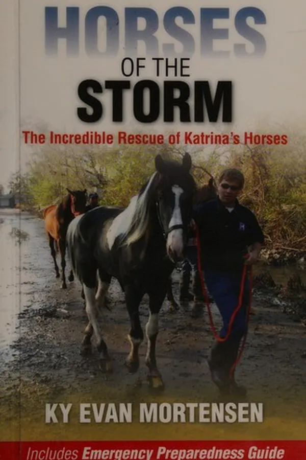 Capa de Horses of the storm