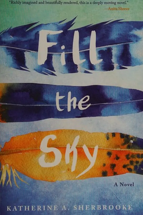 Cover of Fill the sky