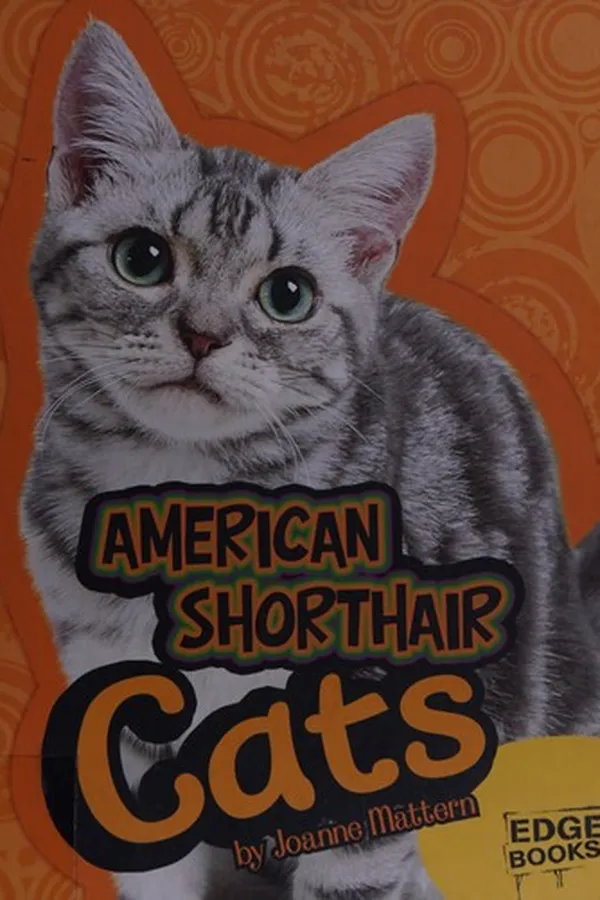 Capa de American shorthair cats