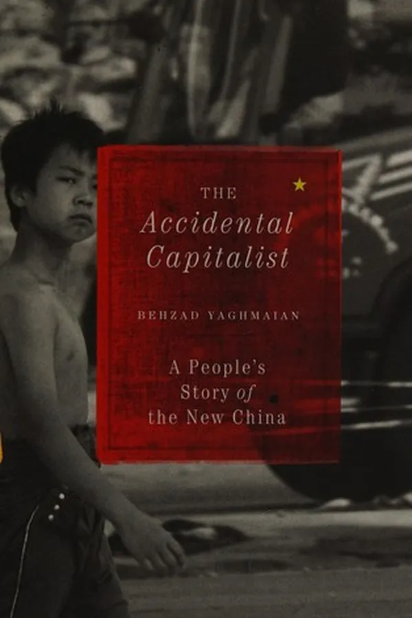Cover of The accidental capitalist