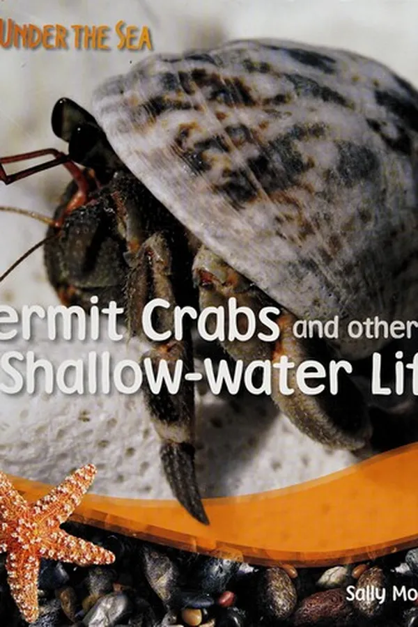 Capa de Hermit crabs and other shallow-water life