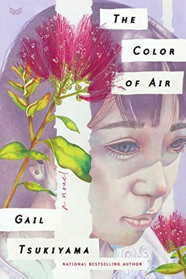 Capa de The Color of Air