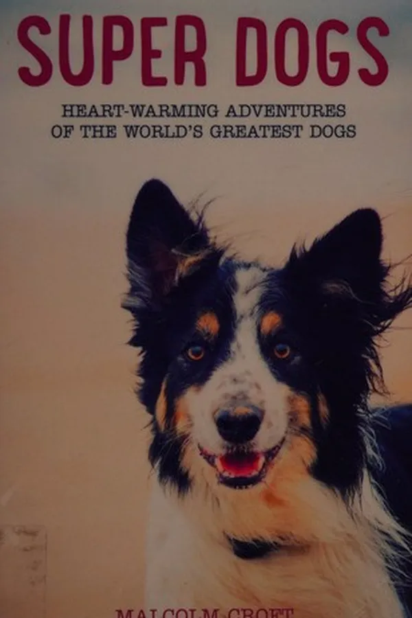 Capa de Super dogs