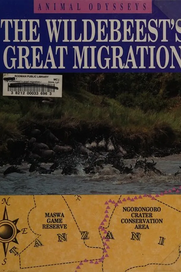 Cover of The wildebeests' great migration