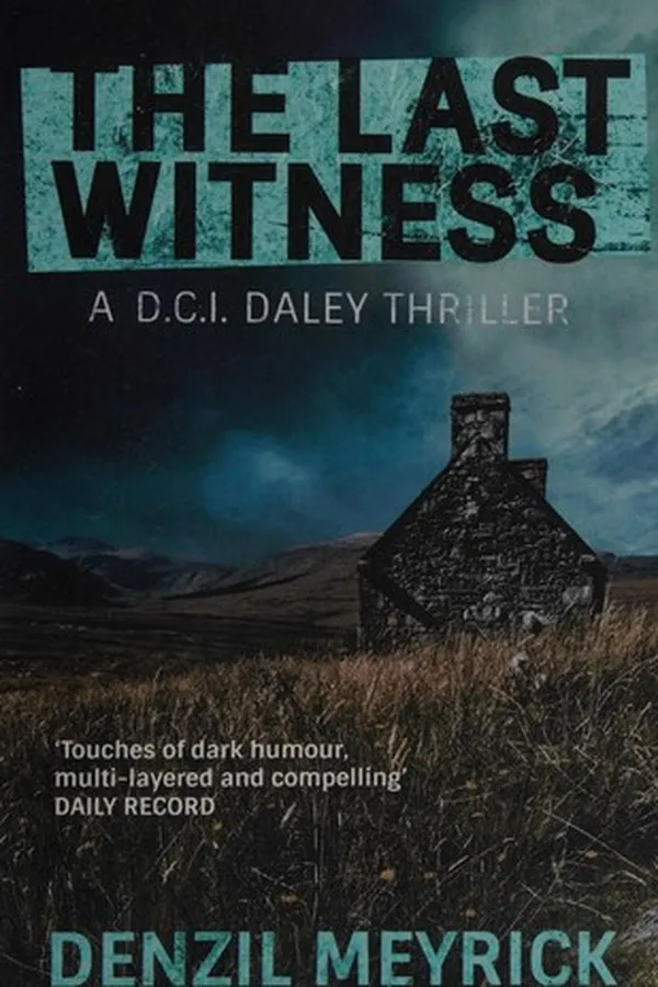 Capa de The last witness