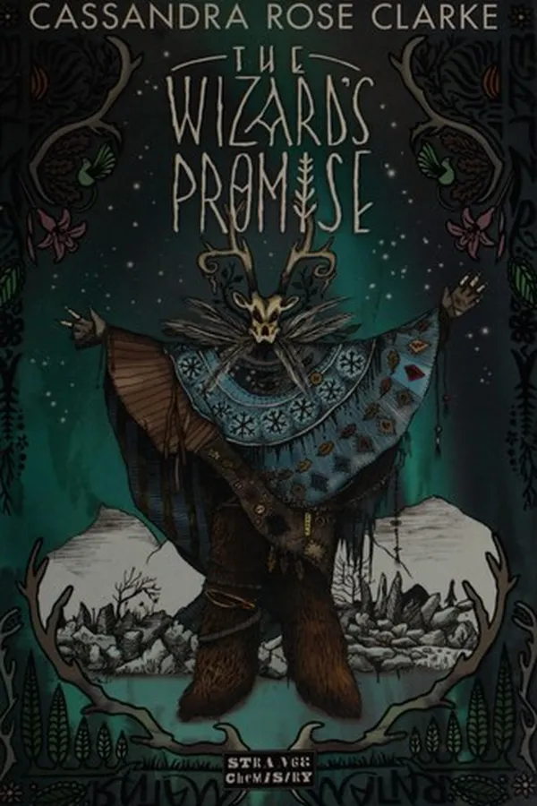 Capa de The Wizard's promise