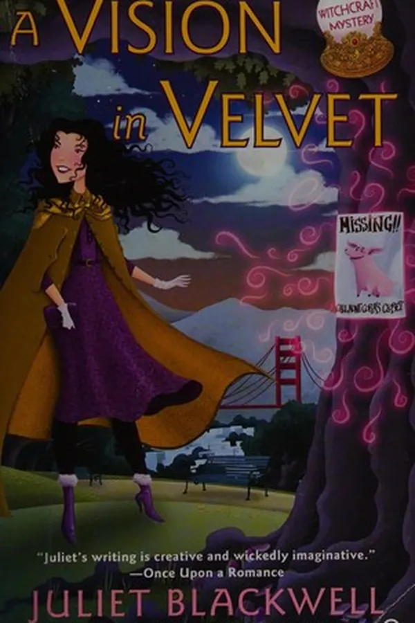Capa de A Vision in Velvet
