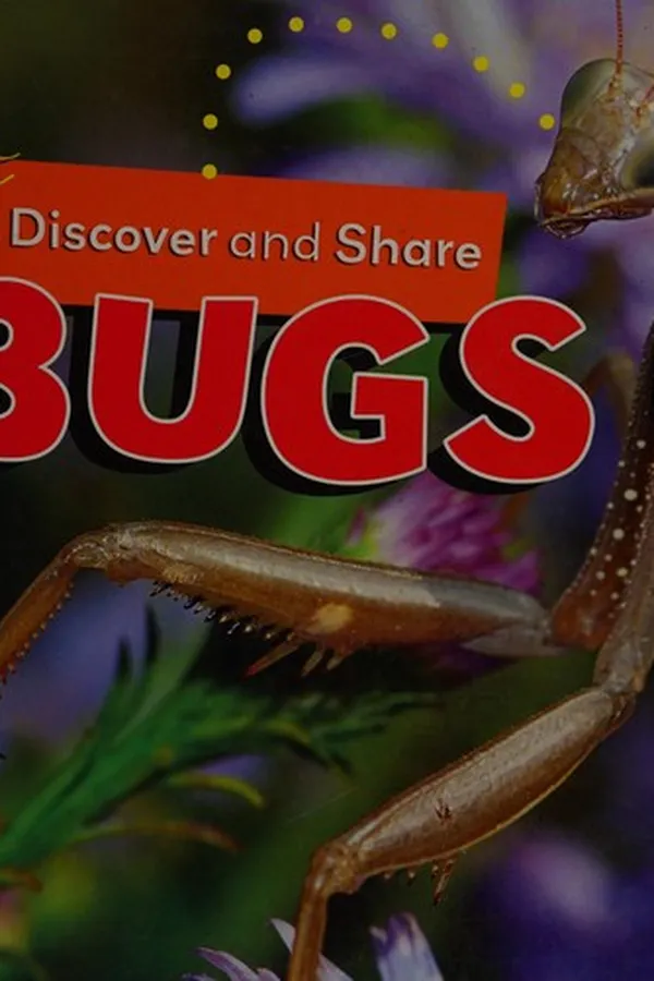 Capa de Bugs