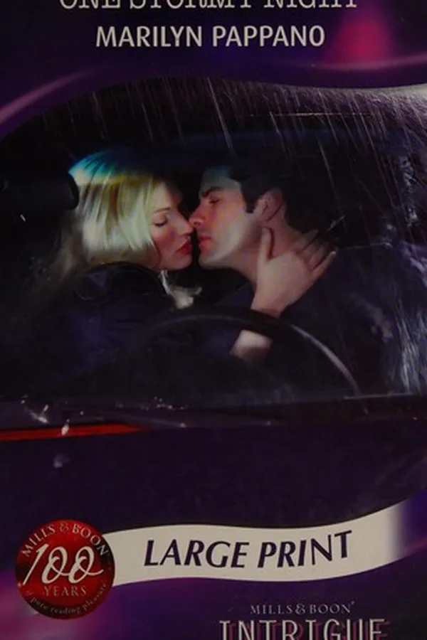 Cover of One stormy night