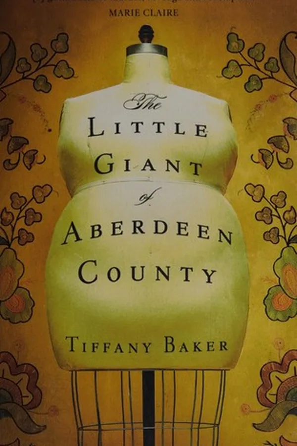 Capa de The little giant of Aberdeen County