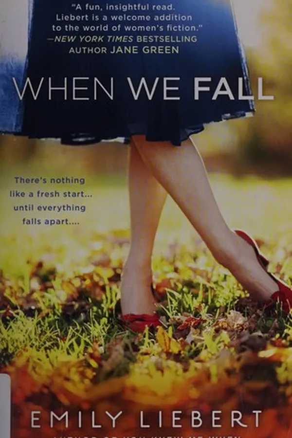 Cover of When we fall