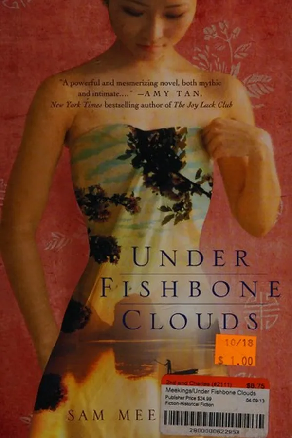 Capa de Under fishbone clouds