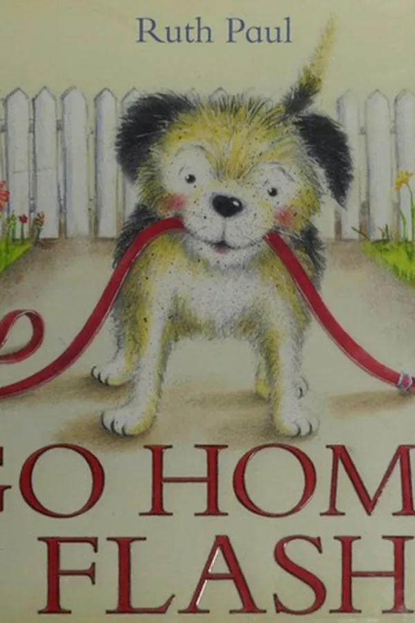 Capa de Go home Flash