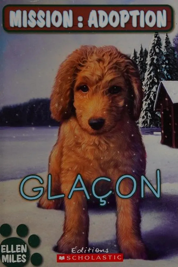 Cover of Glaçon