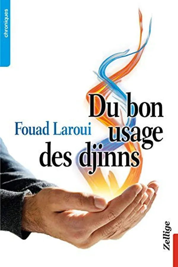 Capa de Du Bon Usage Des Djinns