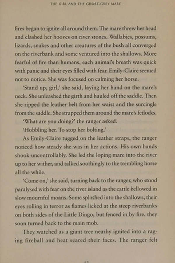 Capa de The girl and the ghost-grey mare and other stories