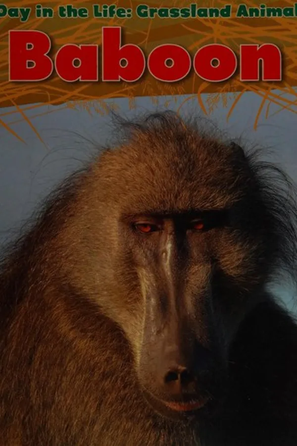 Cover of Baboon