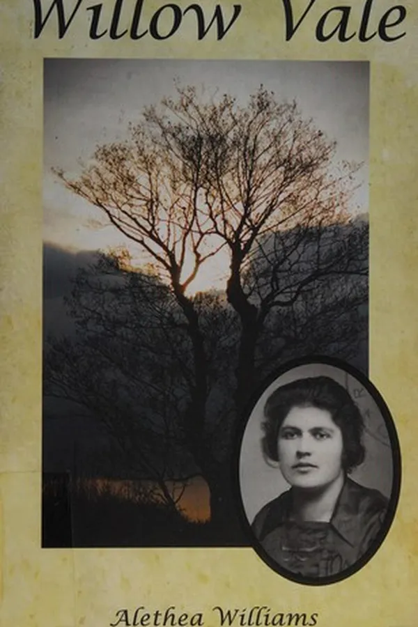 Capa de Willow Vale