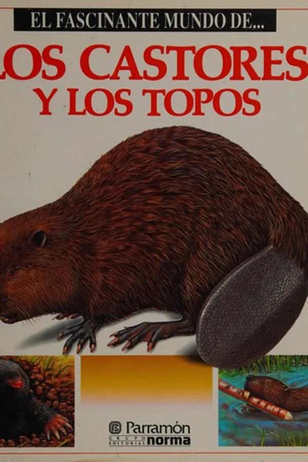 Capa de El fascinante mundo de-- las mariposas
