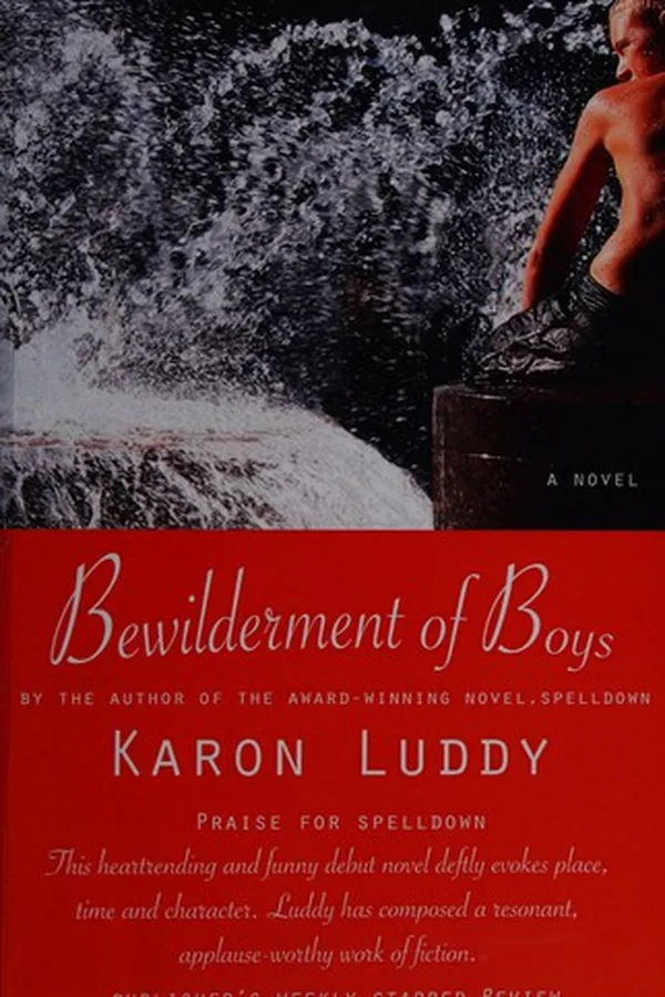 Capa de Bewilderment of boys