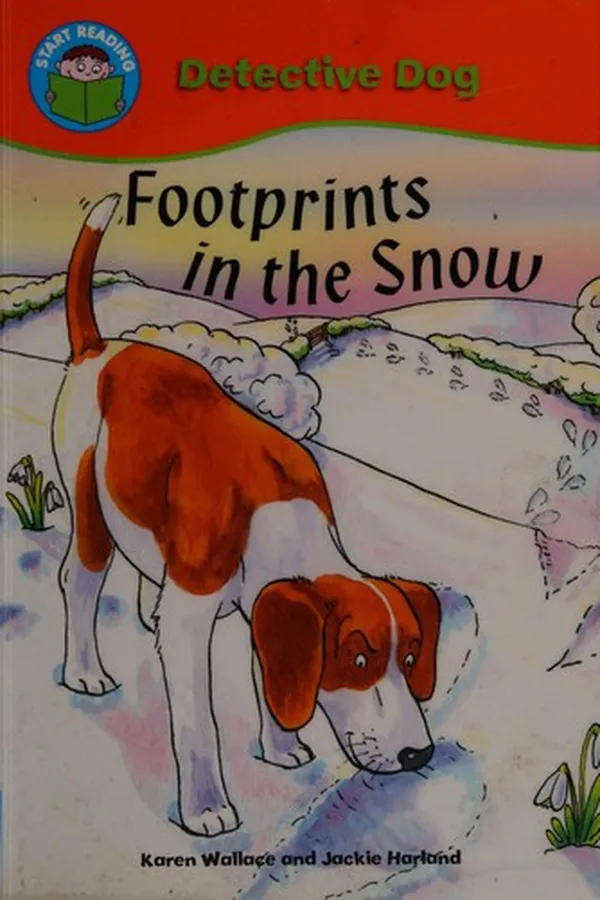 Capa de Footprints in the snow