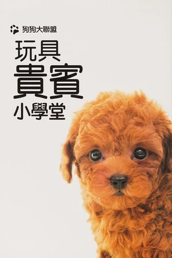 Capa de Gou gou da lian meng wan ju gui bin xiao xue tang