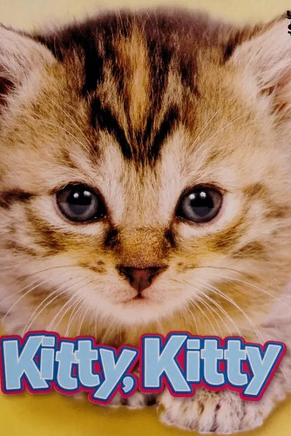 Capa de Kitty, kitty