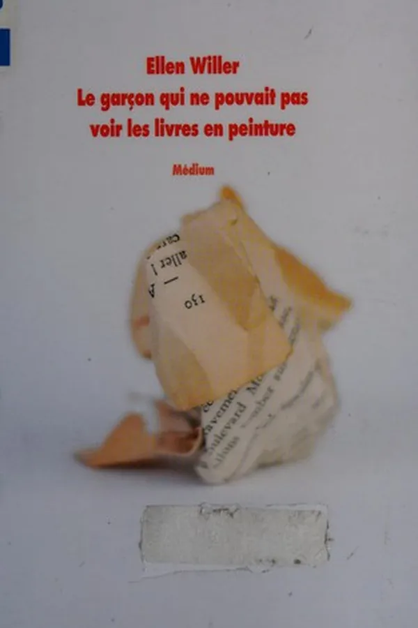 Capa de Le garcʹon qui ne pouvait pas voir les livres en peinture