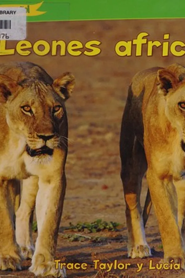 Capa de Leones africanos