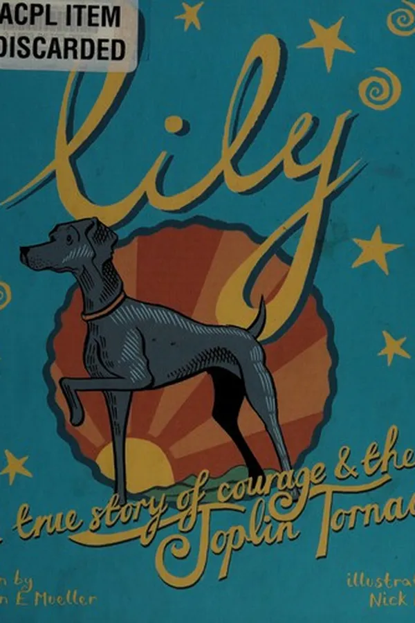 Capa de Lily