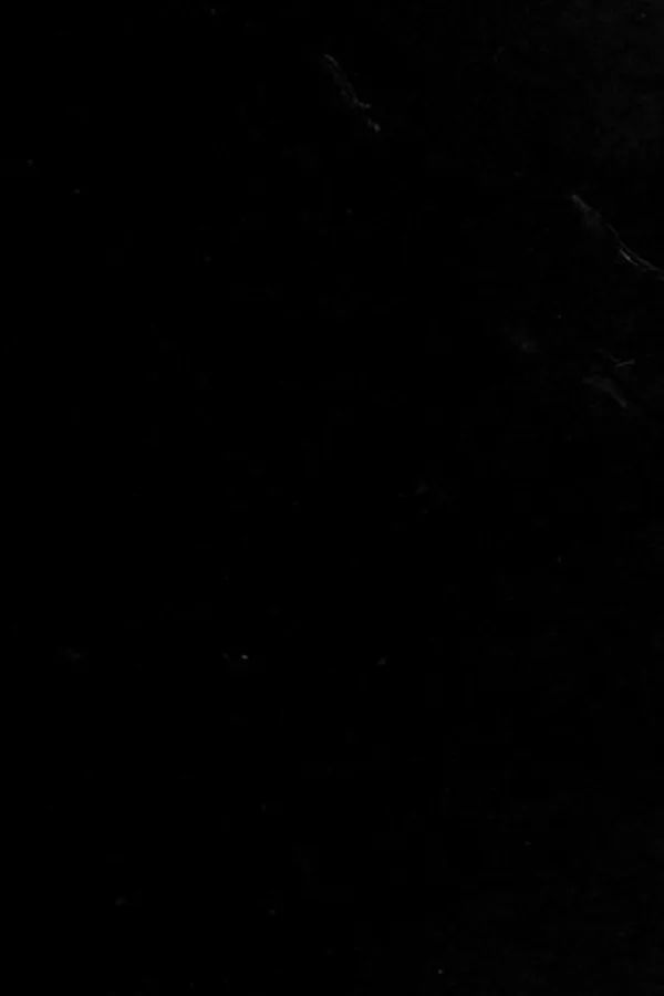 Capa de Lone wolf terrorism