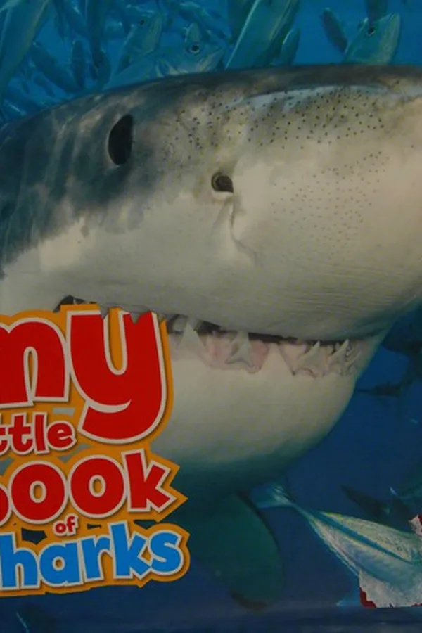 Capa de My Little Book of Sharks