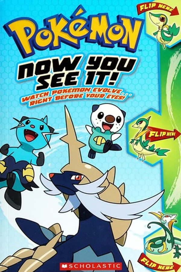 Capa de Now you see it!