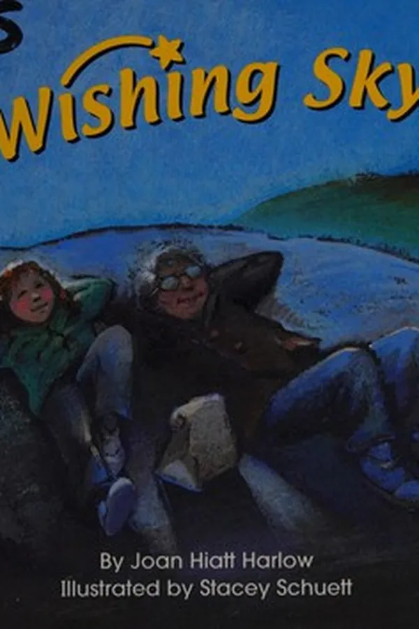 Capa de The wishing sky