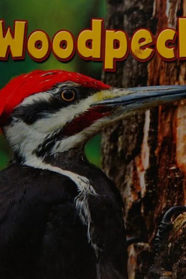 Capa de Woodpecker