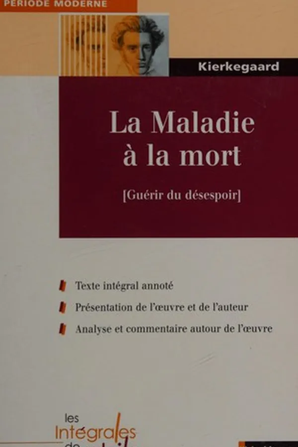 Capa de La maladie à la mort
