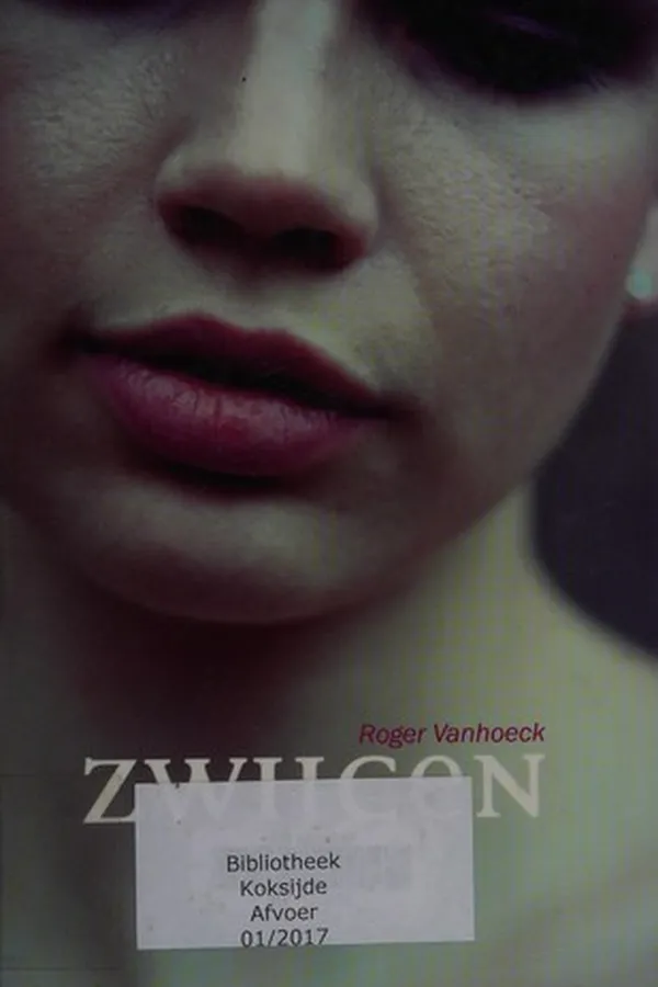 Capa de Zwijgen