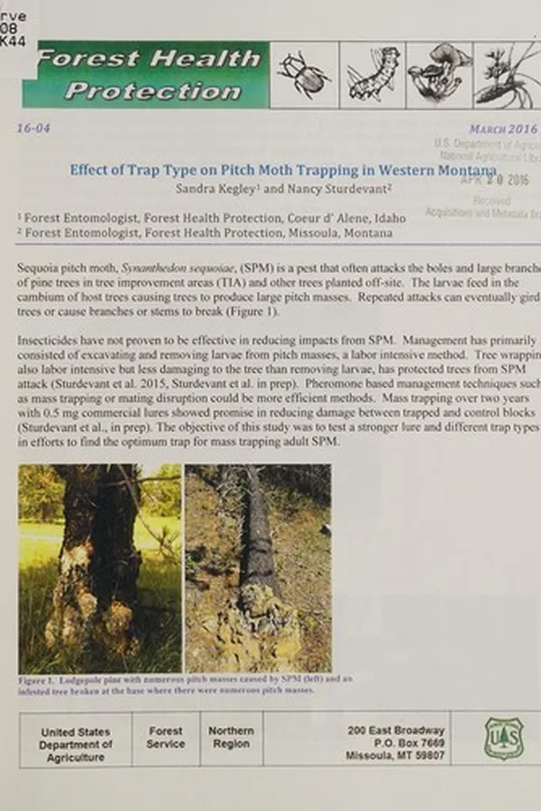 Capa de Effect of trap type on pitch moth trapping in western Montana