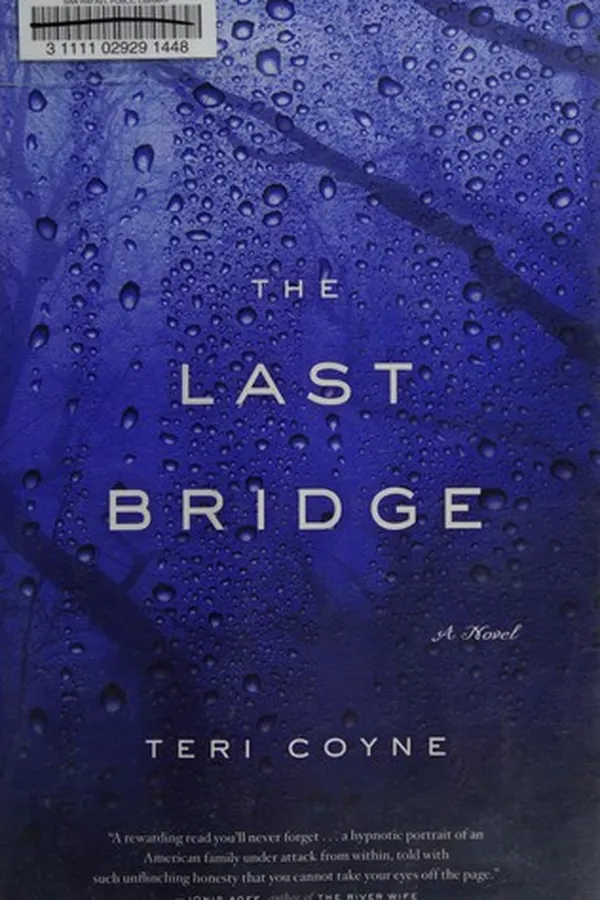 Capa de The Last Bridge