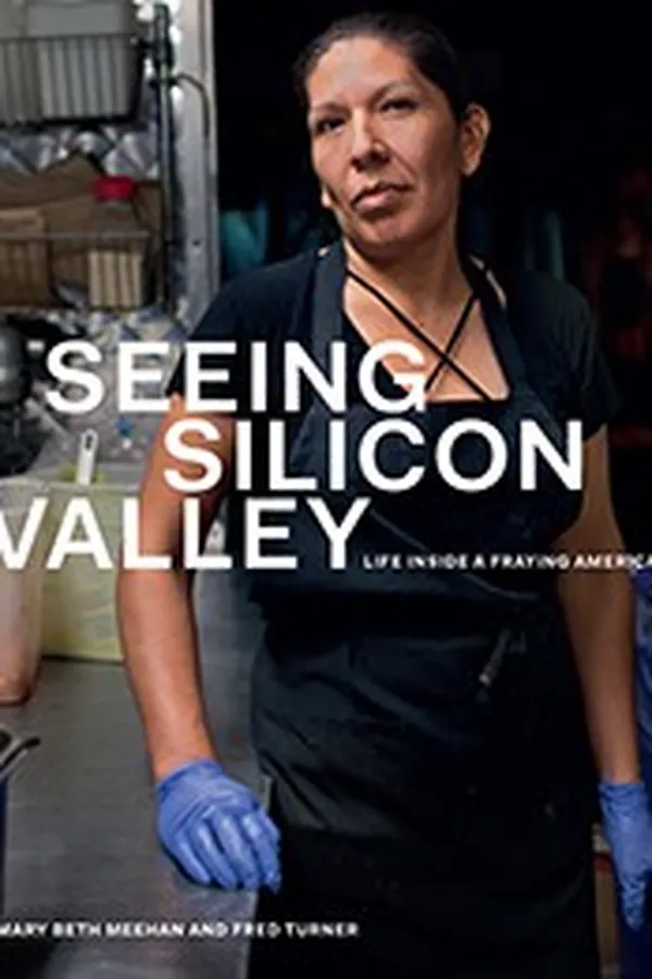 Cover of Seeing Silicon Valley