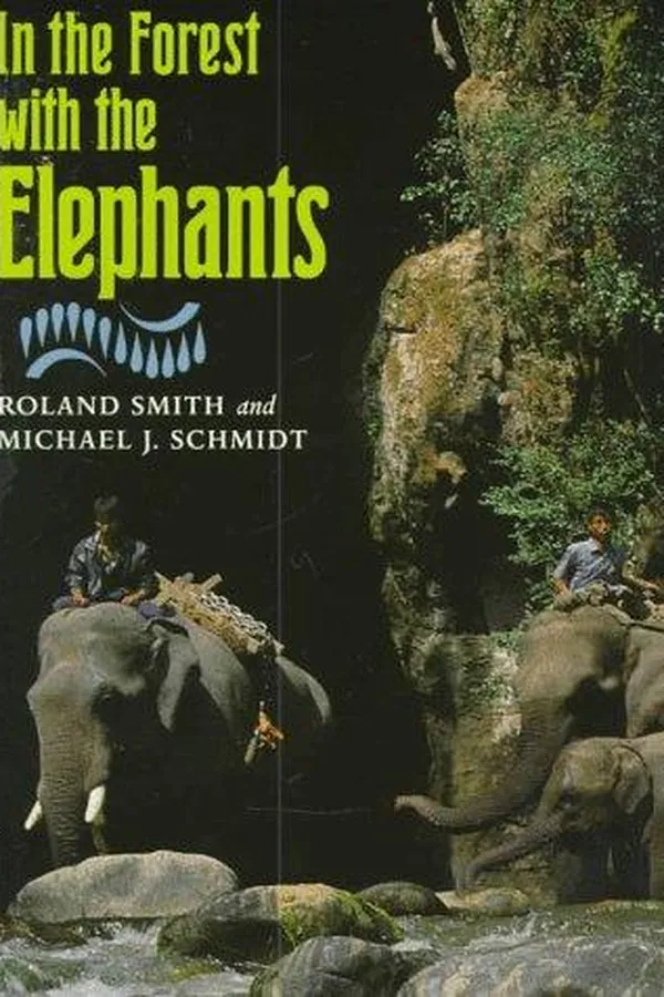 Capa de In the forest with elephants