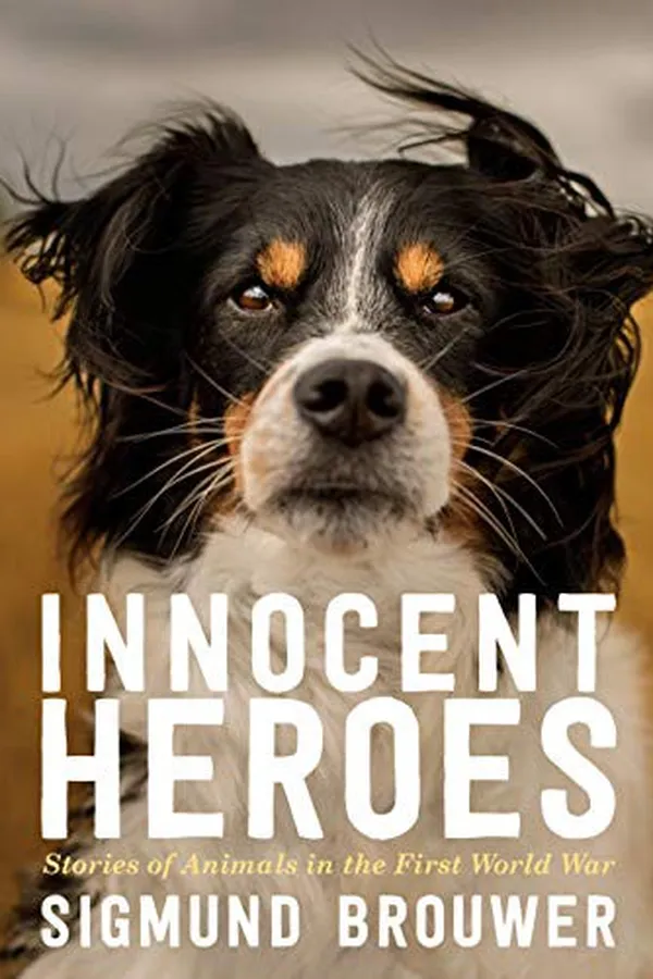 Capa de Innocent heroes